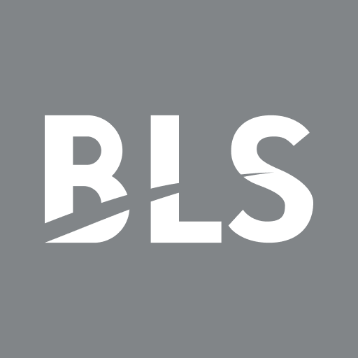 BLS Share Price